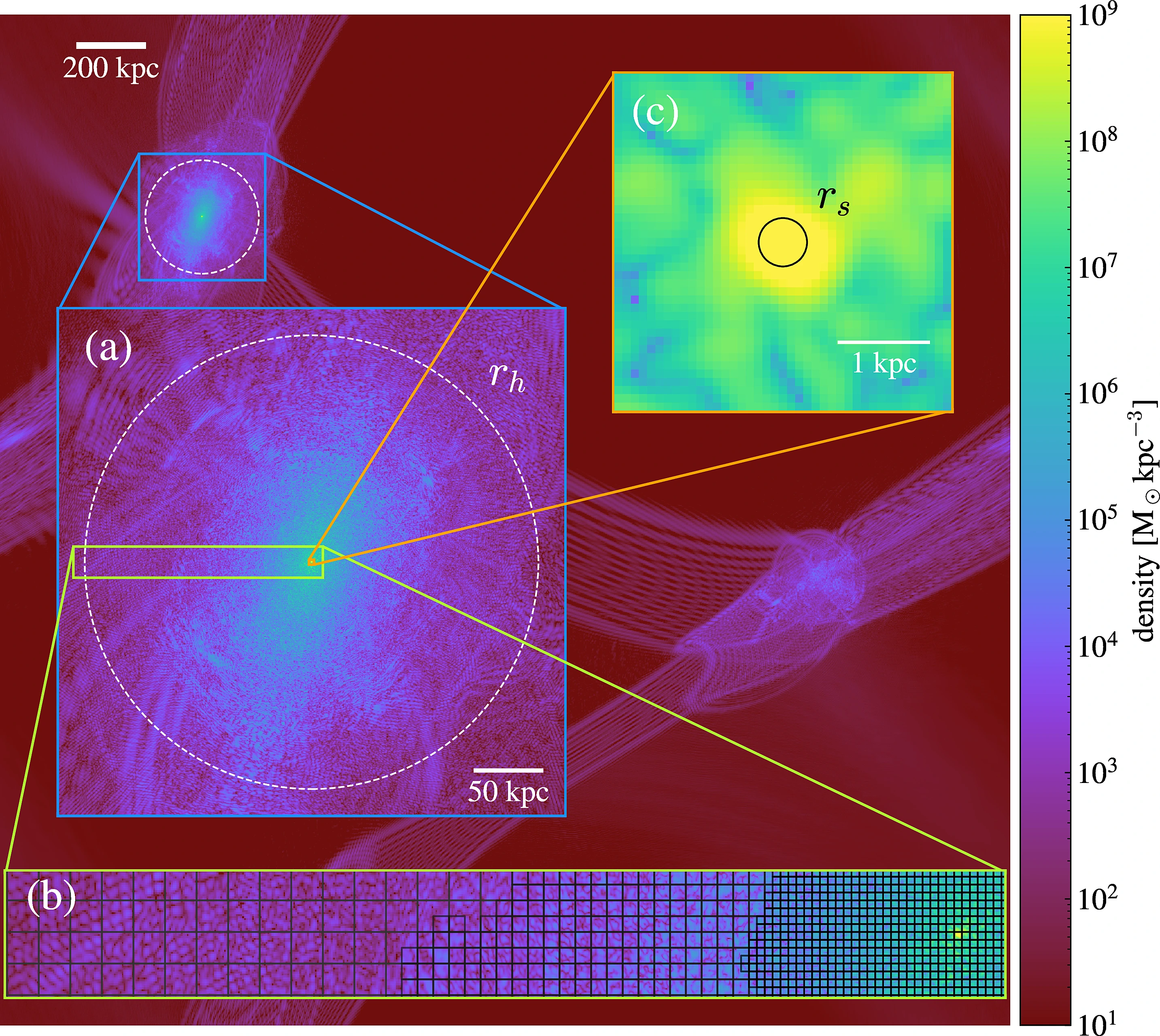 Deciphering the Soliton-Halo Relation in Fuzzy Dark Matter main image